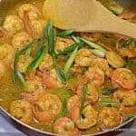 Madras Curry Shrimp with Green Onions